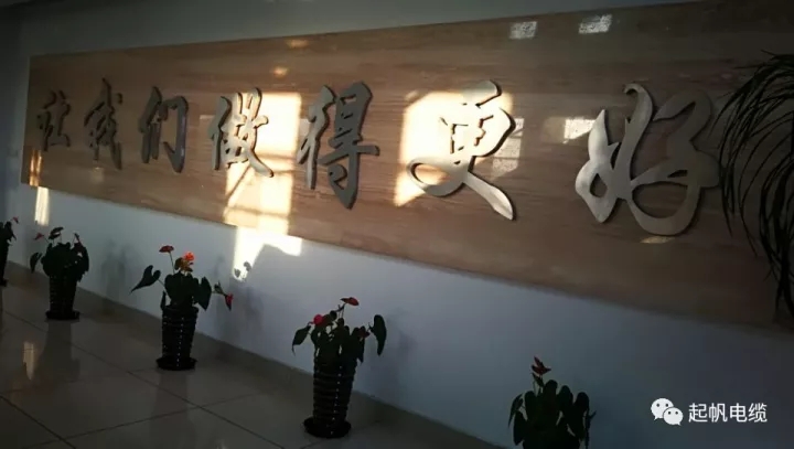 第六届金山区区长质量奖公布，九游会电缆周供华榜上有名